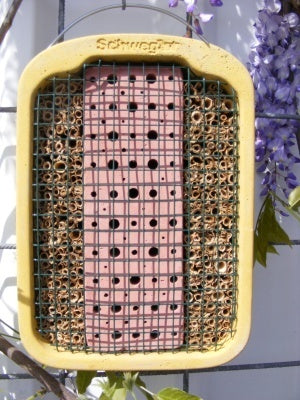 Schwegler Insektennistwand aus Lehm und Schilf 00377/5