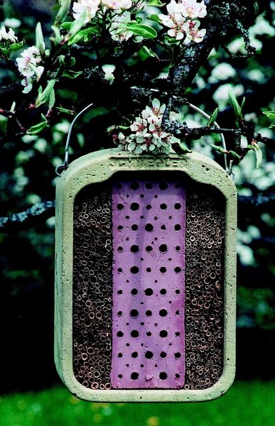 Schwegler Insektennistwand aus Lehm und Schilf 00377/5
