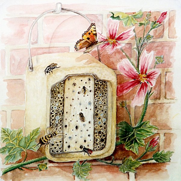 Schwegler Insektennistwand aus Lehm und Schilf 00377/5