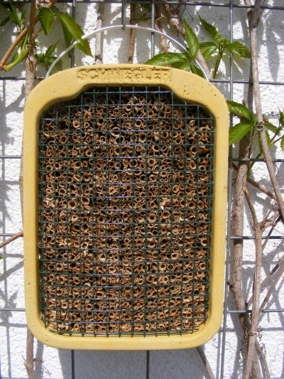 Schwegler Insektennistwand aus Schilf 00374/4