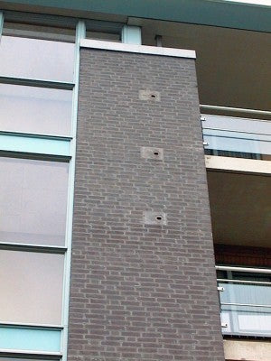 Schwegler Nist- und Einbaustein Typ 25 "Mauersegler"