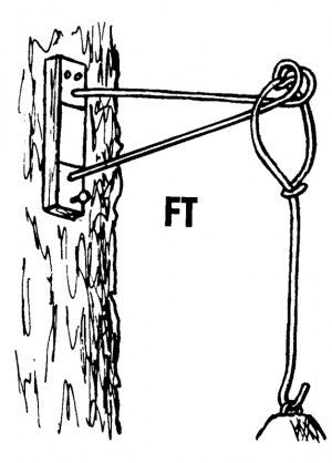 Schwegler Nisthöhle 2M mit Marderschutz, FT 26mm Flugloch