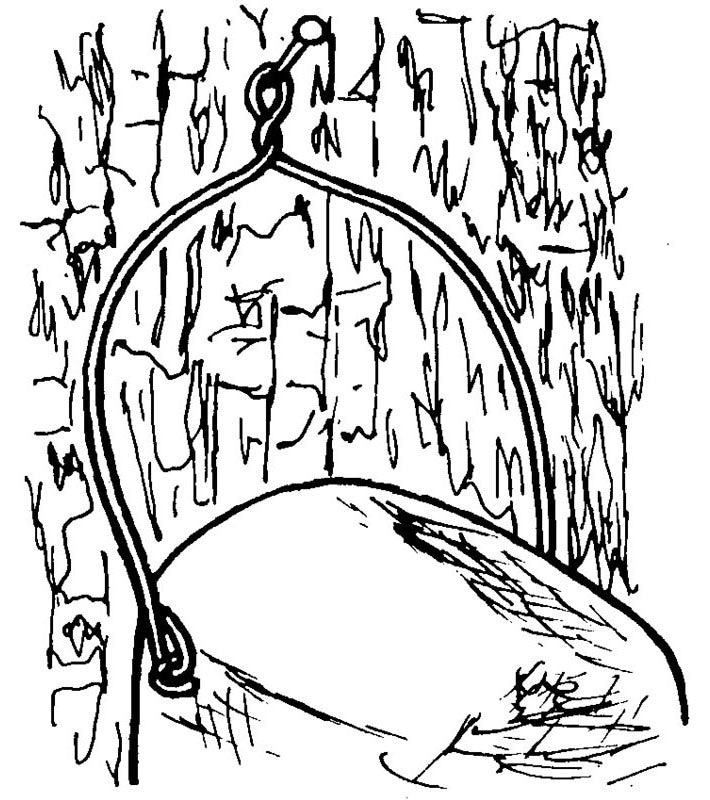Schwegler Nisthöhle 3SV mit Marderschutz (ovales Loch)