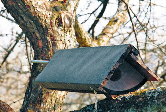 Schwegler Steinkauzröhre (Schaukelröhre) Nr. 22  mit Marderschutz und Geruchsstoff