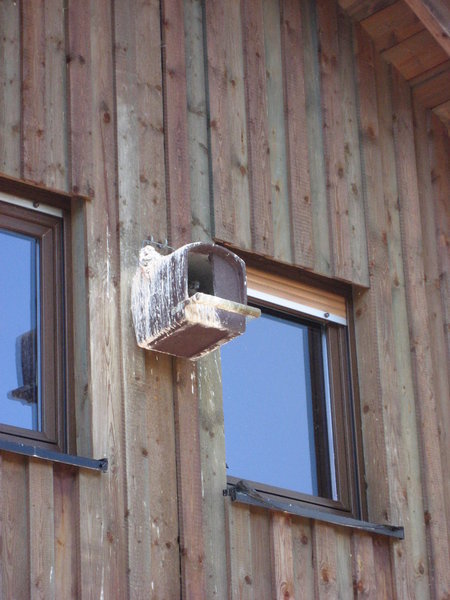 Schwegler Turmfalkennisthöhle Nr. 28