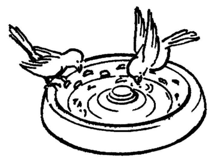 Schwegler Vogel- und Insektentränke ca. 3,5l