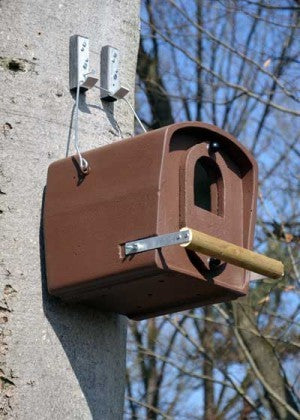 Schwegler Waldkauzhöhle Nr. 30