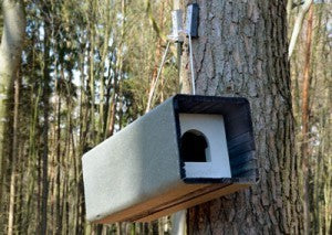 Schwegler Waldkauzröhre 1WK inkl. Stamm- und Astbefestigung