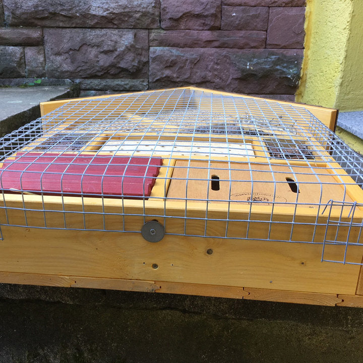Vogelschutzgitter „zur Bienenkönigin“