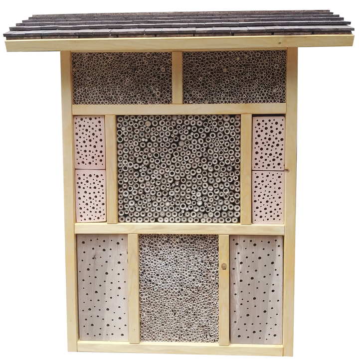 Wildbienenhotel - zum goldenen Ohrwurm XXL