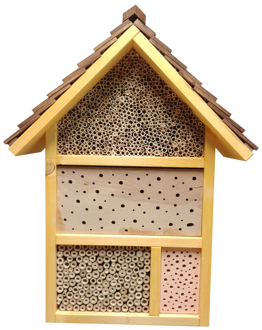 Wildbienenhotel „zur kleinen Bienenkönigin“
