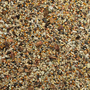 ⭐ GEVO Wildvogelfutter mit Früchten & Chiasamen – Premium‑Qualität für alle heimischen Wildvögel (20 kg Papiersack)