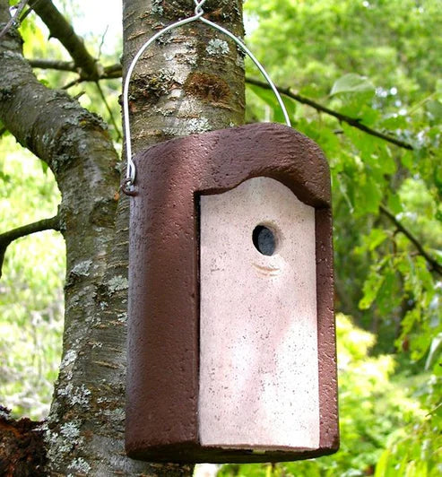 er absolute Klassiker: Welcher Schwegler 1B Nistkasten passt in deinen Garten? (26 mm vs. 32 mm)