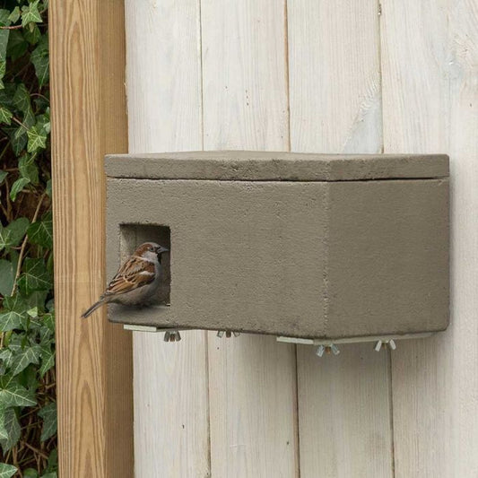 Futtertipps für Wildvögel im Frühling – so stärkst du sie für die Brutzeit.
