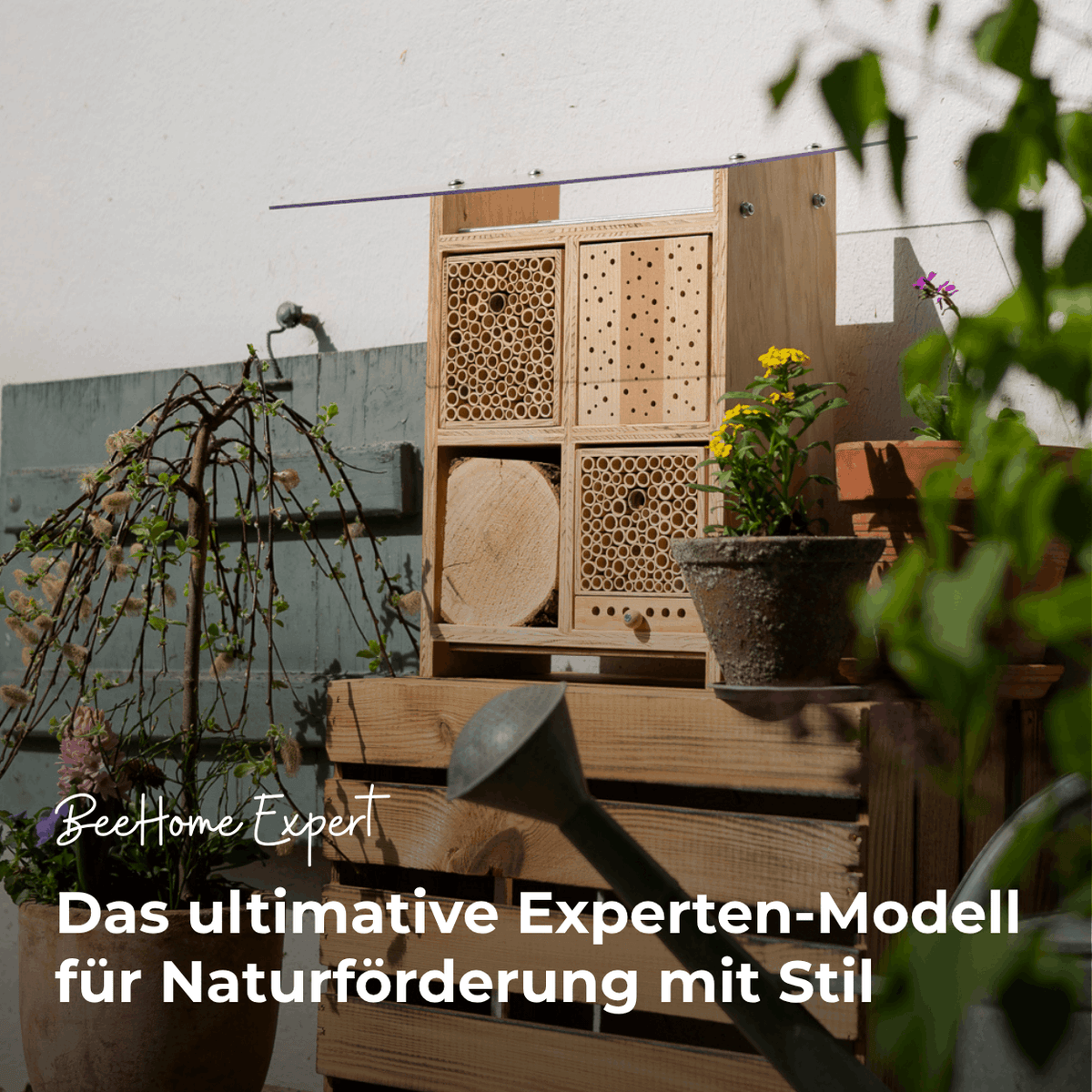 Sommer-Set: Bestseller für Artenvielfalt – BeeSummer Set Observer
