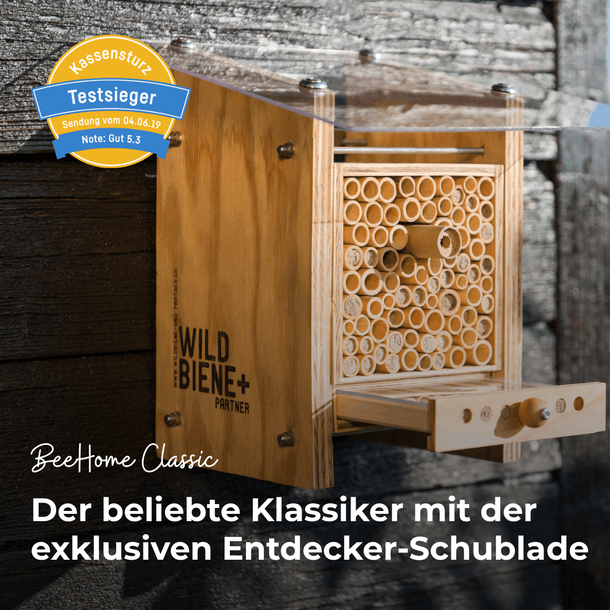 Sommer-Set: Bestseller für Artenvielfalt – BeeSummer Set Observer