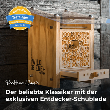 Neues Modell - BeeHome Observer