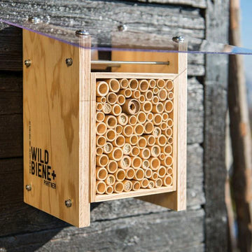 Neues Modell - BeeHome Observer