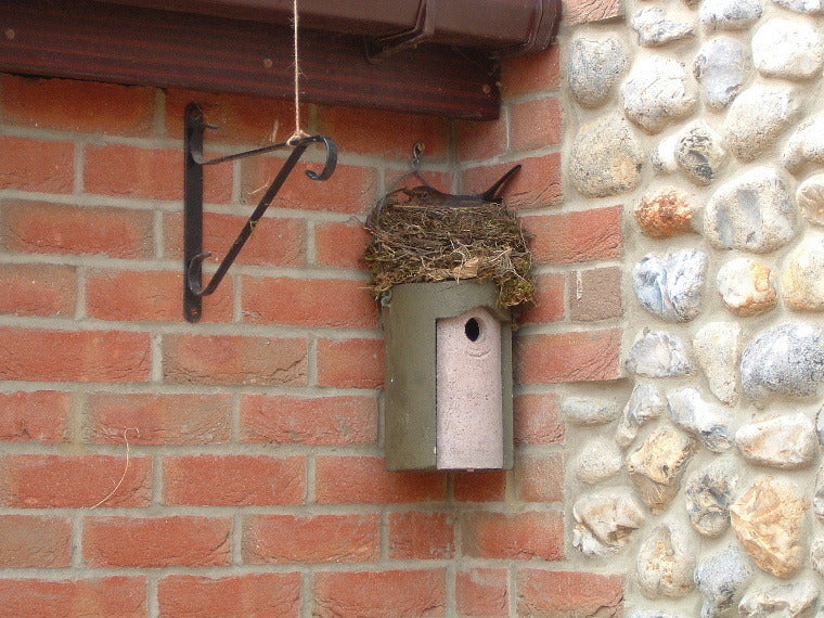 Schwegler Nistkasten 1b