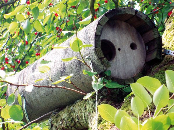 Schwegler Steinkauzröhre rund Nr. 20A mit Marderschutz (SALE)