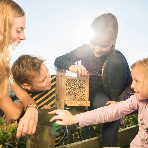 Neues Modell - BeeHome Observer