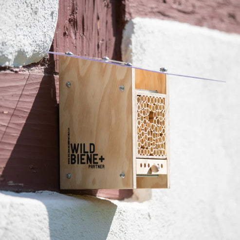 Neues Modell - BeeHome Observer