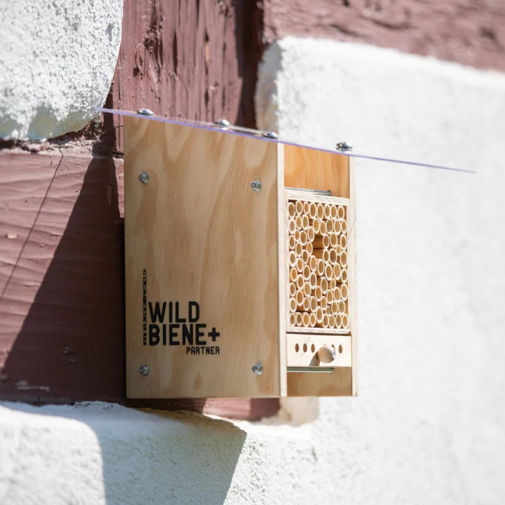 Neues Modell - BeeHome Observer