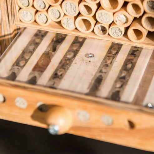 Neues Modell - BeeHome Observer