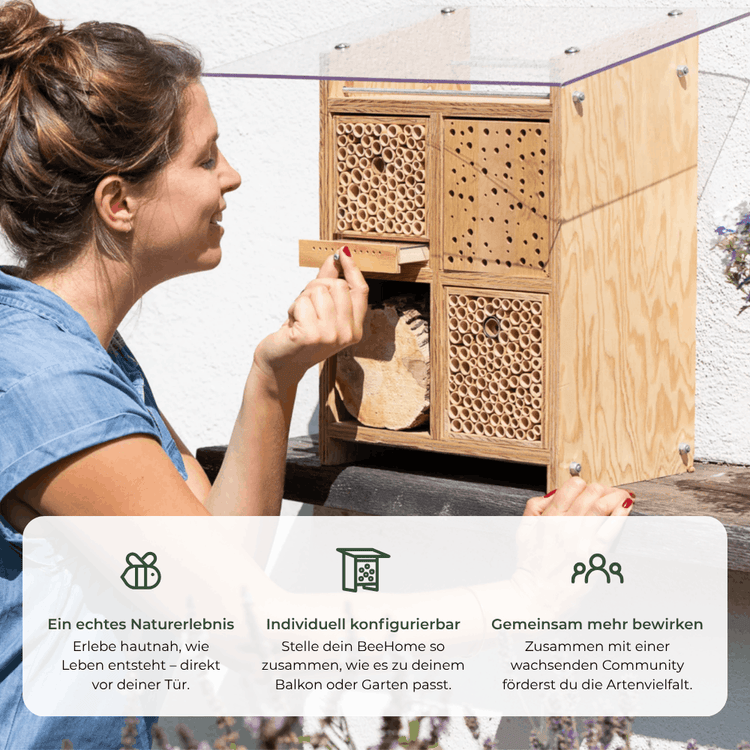 BeeHome Compact – Wildbienen-Nisthilfe für Garten & Balkon