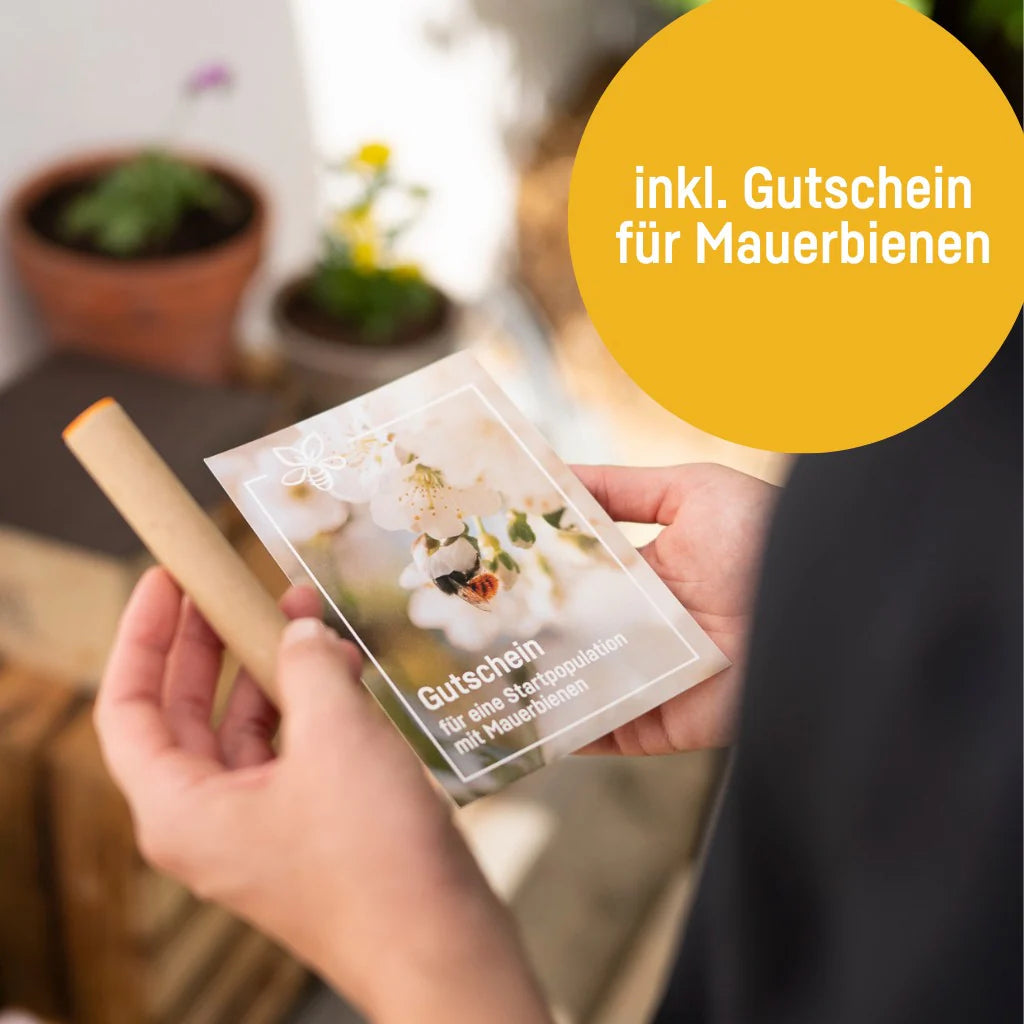Neues Modell - BeeHome Observer