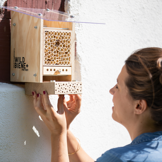 Sommer-Set: Bestseller für Artenvielfalt – BeeSummer Set Observer