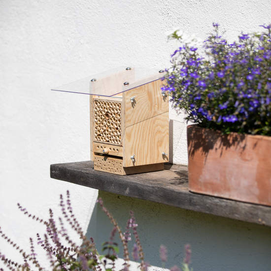 Sommer-Set: Bestseller für Artenvielfalt – BeeSummer Set Observer