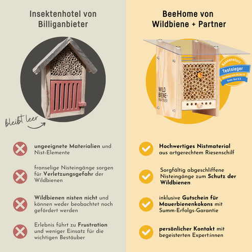 Neues Modell - BeeHome Observer