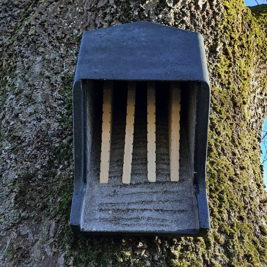 ERBECK - Fledermaus Großraumkasten für Kleinfledermäuse aus Holzbeton