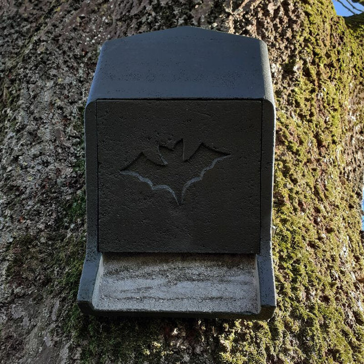 ERBECK - Fledermaus Großraumkasten universal aus Holzbeton
