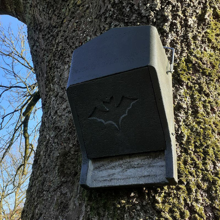 ERBECK - Fledermaus Großraumkasten universal aus Holzbeton