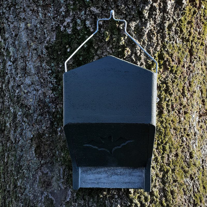 ERBECK - Fledermaus Großraumkasten universal aus Holzbeton