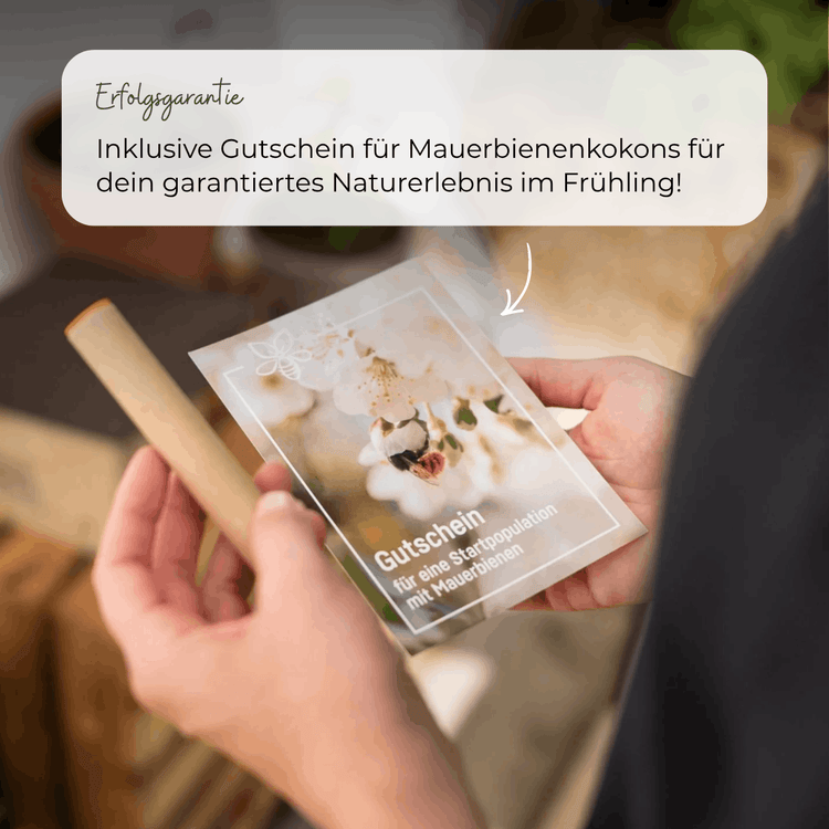 Sommer-Set: Bestseller für Artenvielfalt – BeeSummer Set Observer
