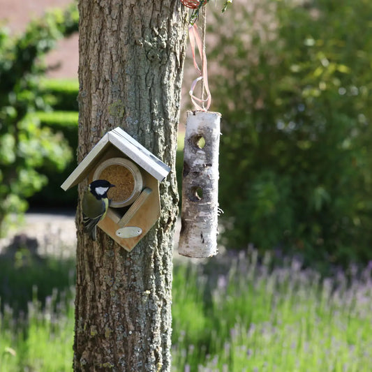 🥜 Erdnussbutterhaus mit Zinkdach – Beliebte Futterstation für Meisen, Spechte &amp; Wildvögel