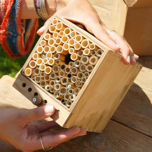 Beehome Ersatzröhrchen