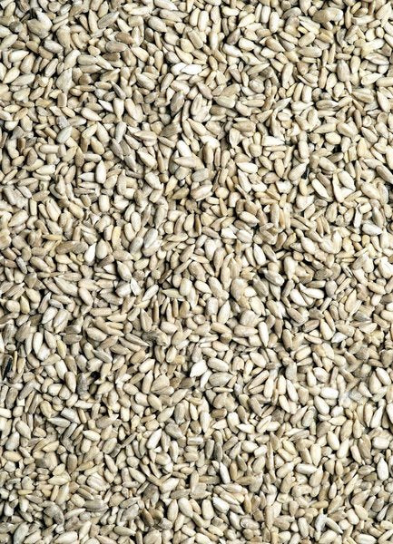 GEVO Sonnenblumenkerne geschält 1kg