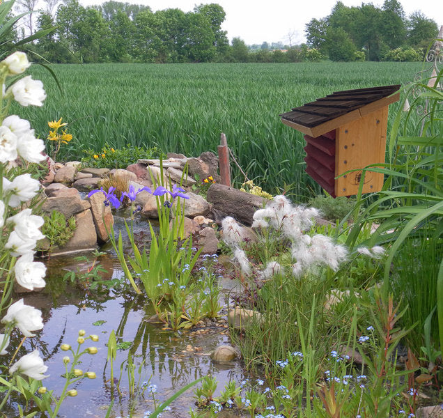 Insektenhotel „zum grünen Blattlauslöwen“