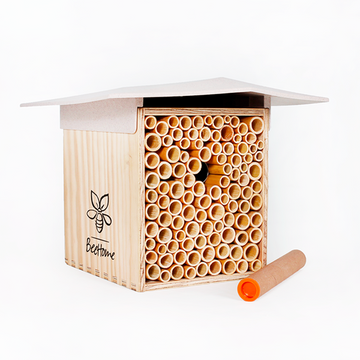 Neues Modell - BeeHome Observer