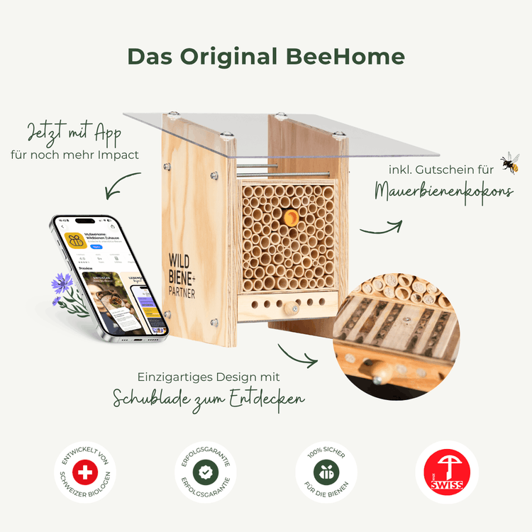 Sommer-Set: Bestseller für Artenvielfalt – BeeSummer Set Observer
