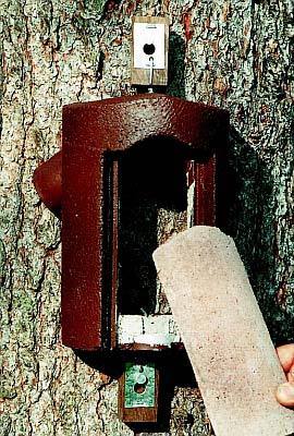 Schwegler Baumläuferhöhle 2B