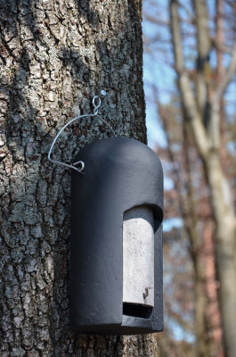 Schwegler Fledermaushöhle 2FN