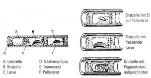 Schwegler Insektennisthaus 00373/7