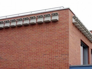 Schwegler Kotbrett für Mehlschwalbennest Nr. 11