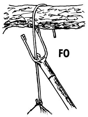 Schwegler Nisthöhle 2M, FO 32mm Flugloch mit Marderschutz