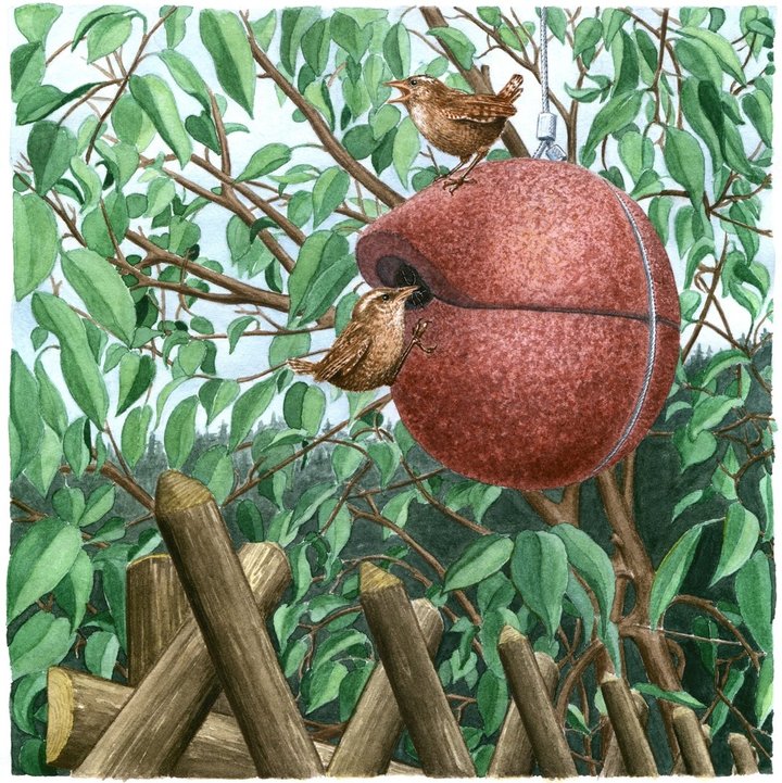 Schwegler Zaunkönig-Kugel 1ZA - rot